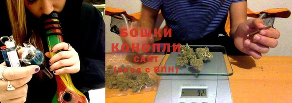 мдпв Волосово