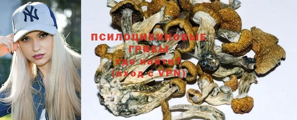 мдпв Волосово