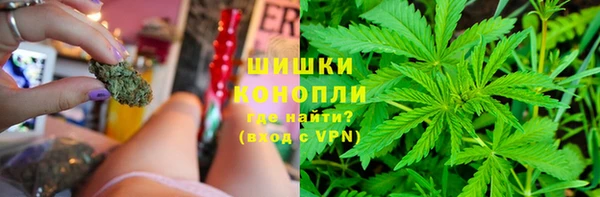 мдпв Волосово